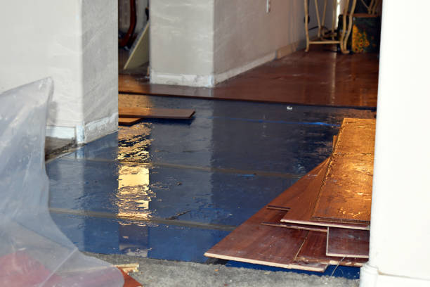 Professional Sewage Cleanup technician working in New Boston, NH
